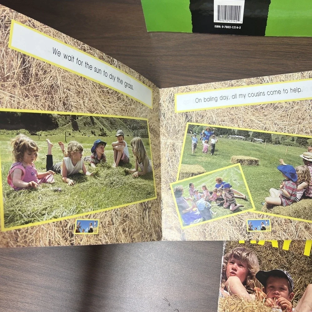 (Lot of 5) Level 1 HAY MAKING Emergent Beginning Readers ( 1st/2nd Grade) Noonan